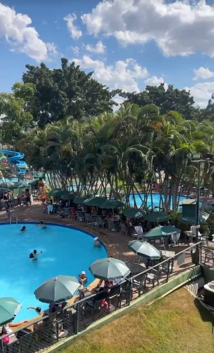 Piscinas e toboáguas do parque cercados de palmeiras
